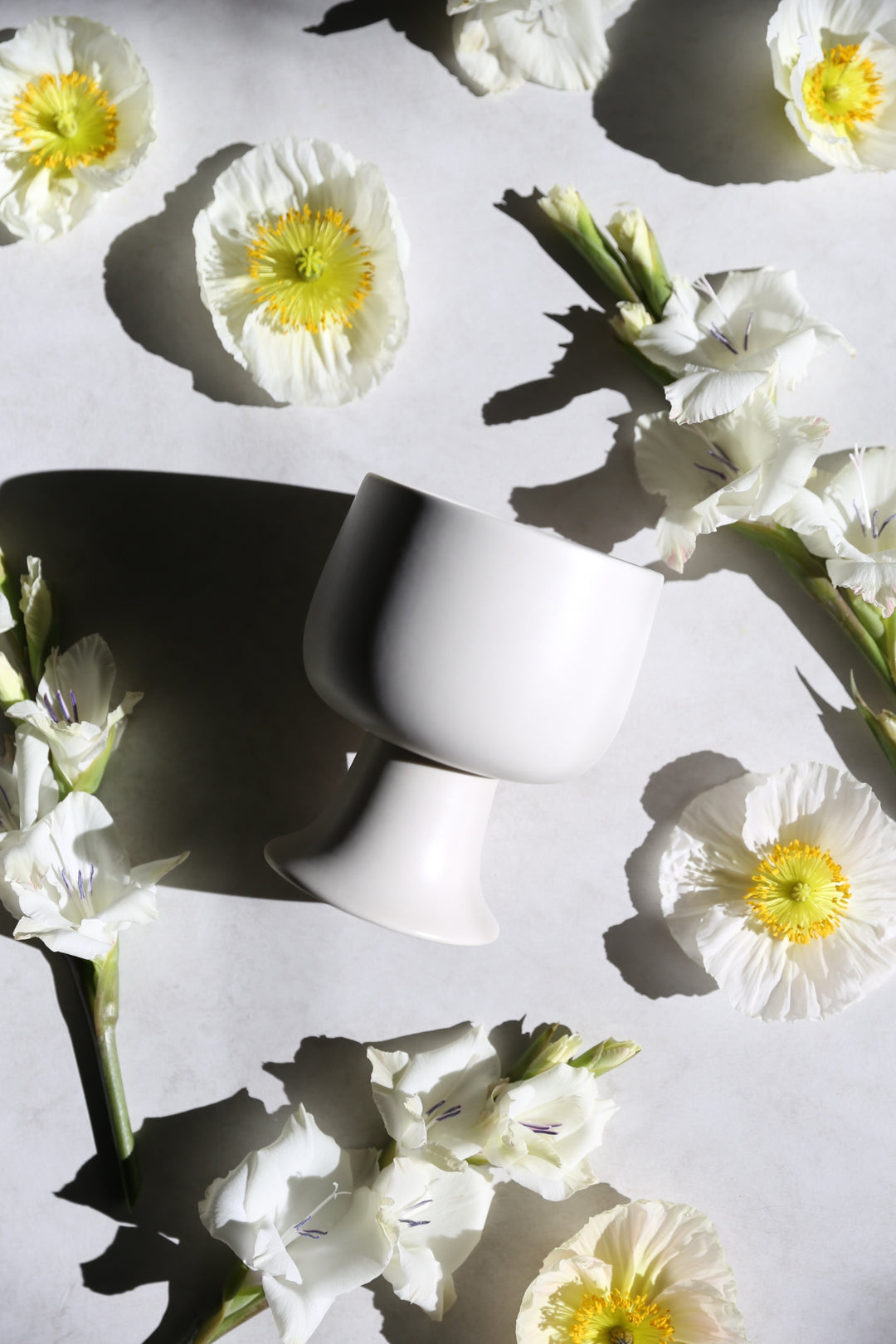 Ella Compote | Shell – Oh Flora Store