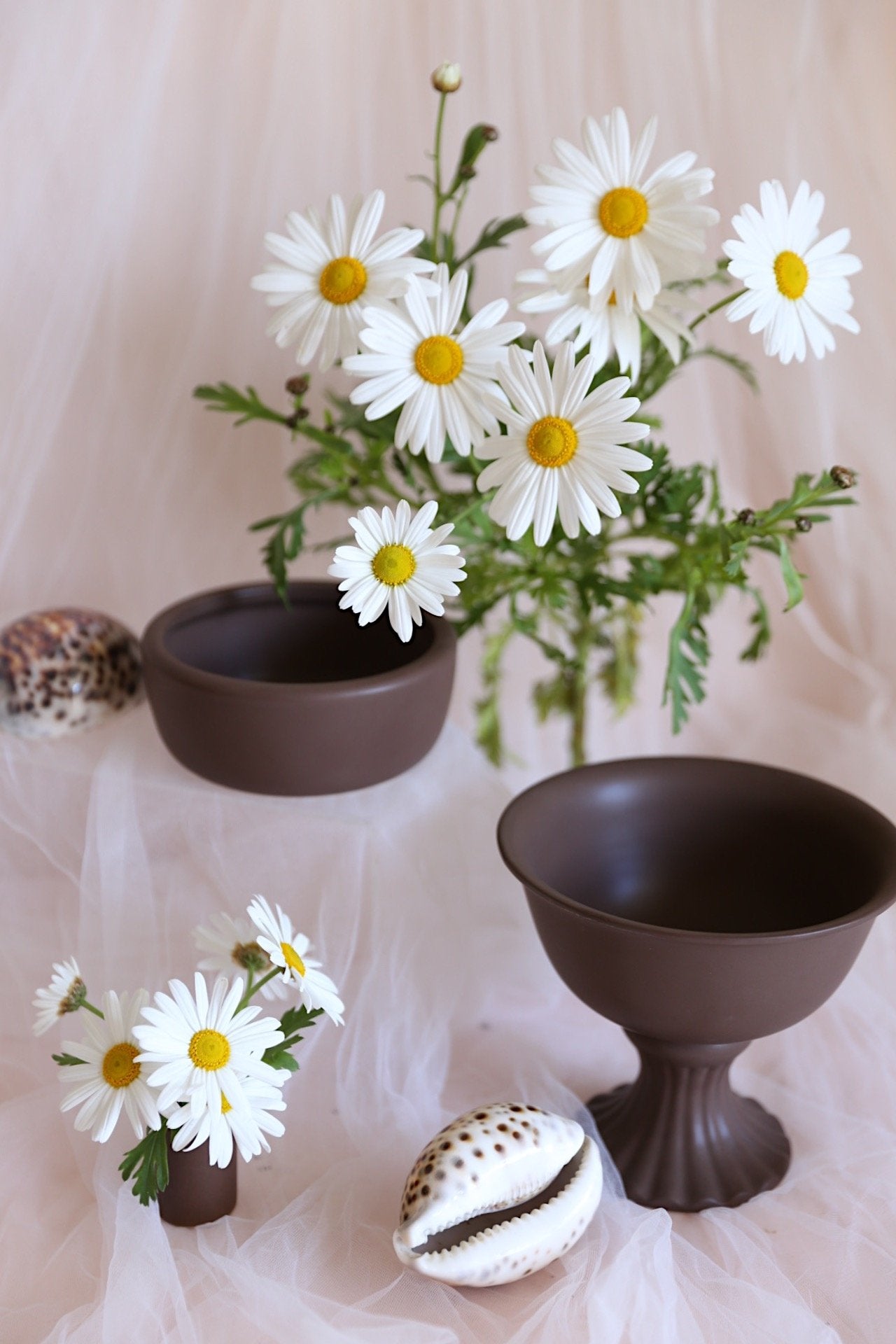 daisies and brown ceramics